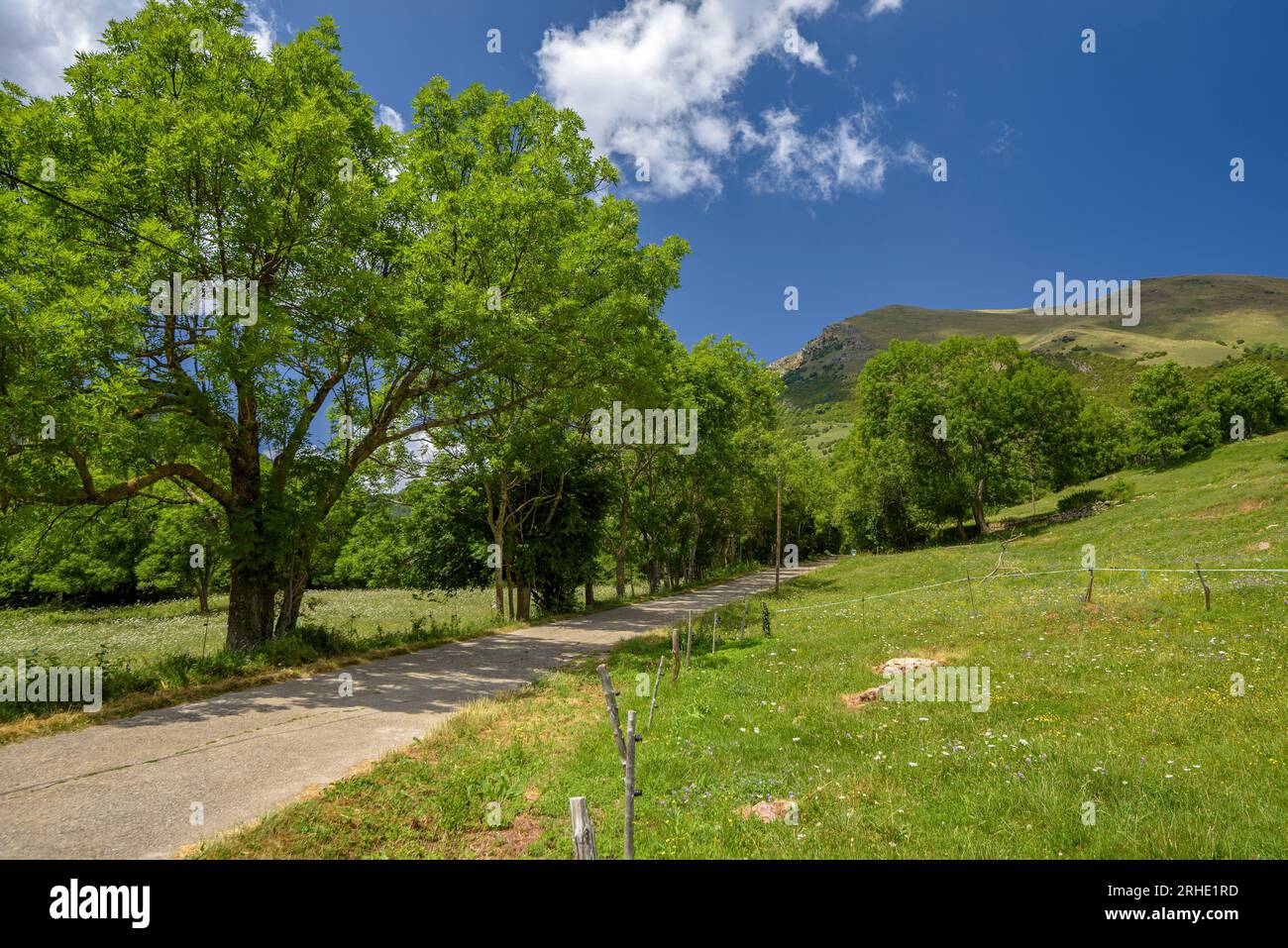 Rural fields and meadows near Ogassa, with some scattered houses to the south of the Serra Cavallera in summer (Ripollès, Girona, Catalonia, Spain) Stock Photo