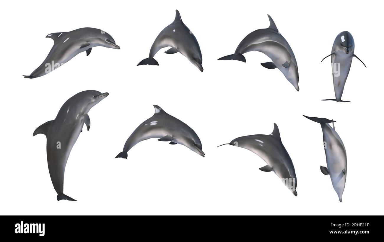 3d rendering - mix of 8 images of dolphin jump in the action.3d rendering of playfull dolphin in diferent angle. isolated jumping dolphin. Stock Photo