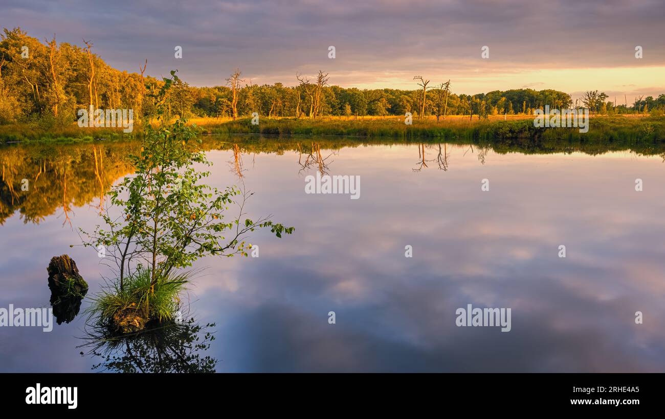 A 16:9 photo of a sunrise at nature reserve Appelbergen, a beautiful piece of nature in Glimmen, on the border of the province of Drenthe and Groninge Stock Photo