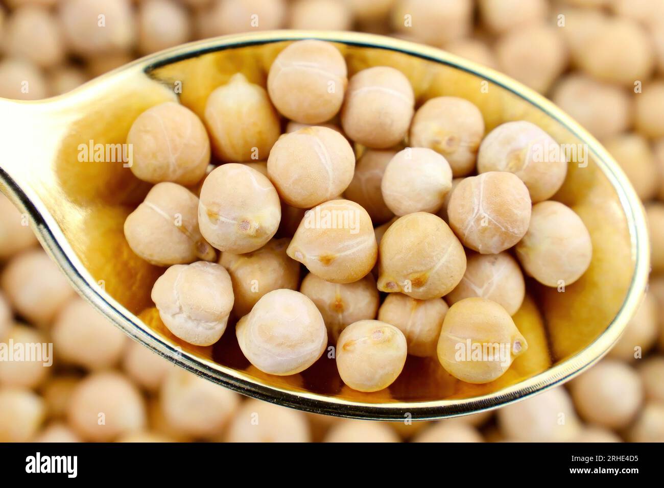 Yellow dried chickpeas or chick peas in spoon close up. Stock Photo