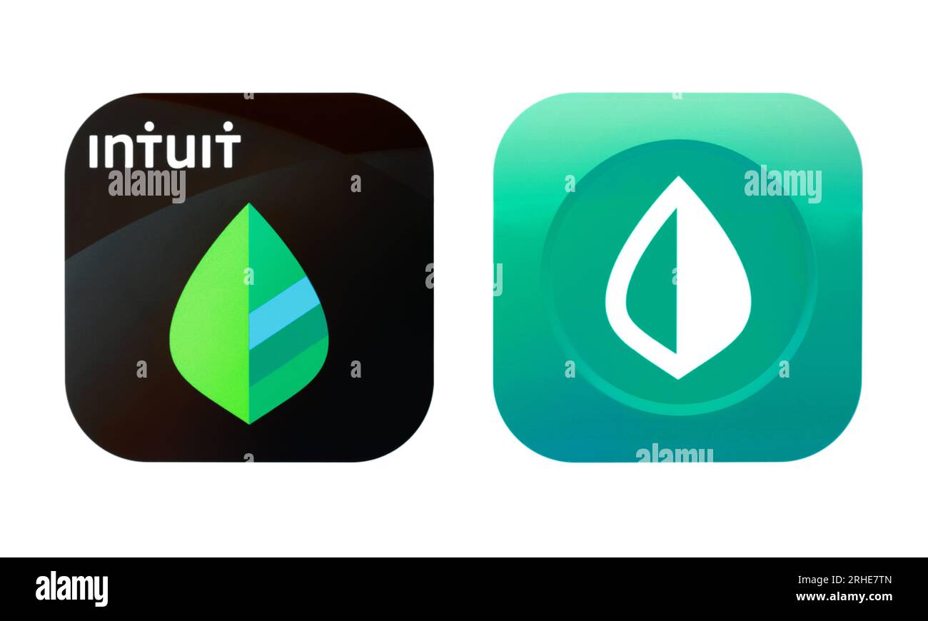 Kiev, Ukraine - August 28, 2022: Old and New icons of Intuit app, printed on paper. Intuit is an American business software company that specializes i Stock Photo