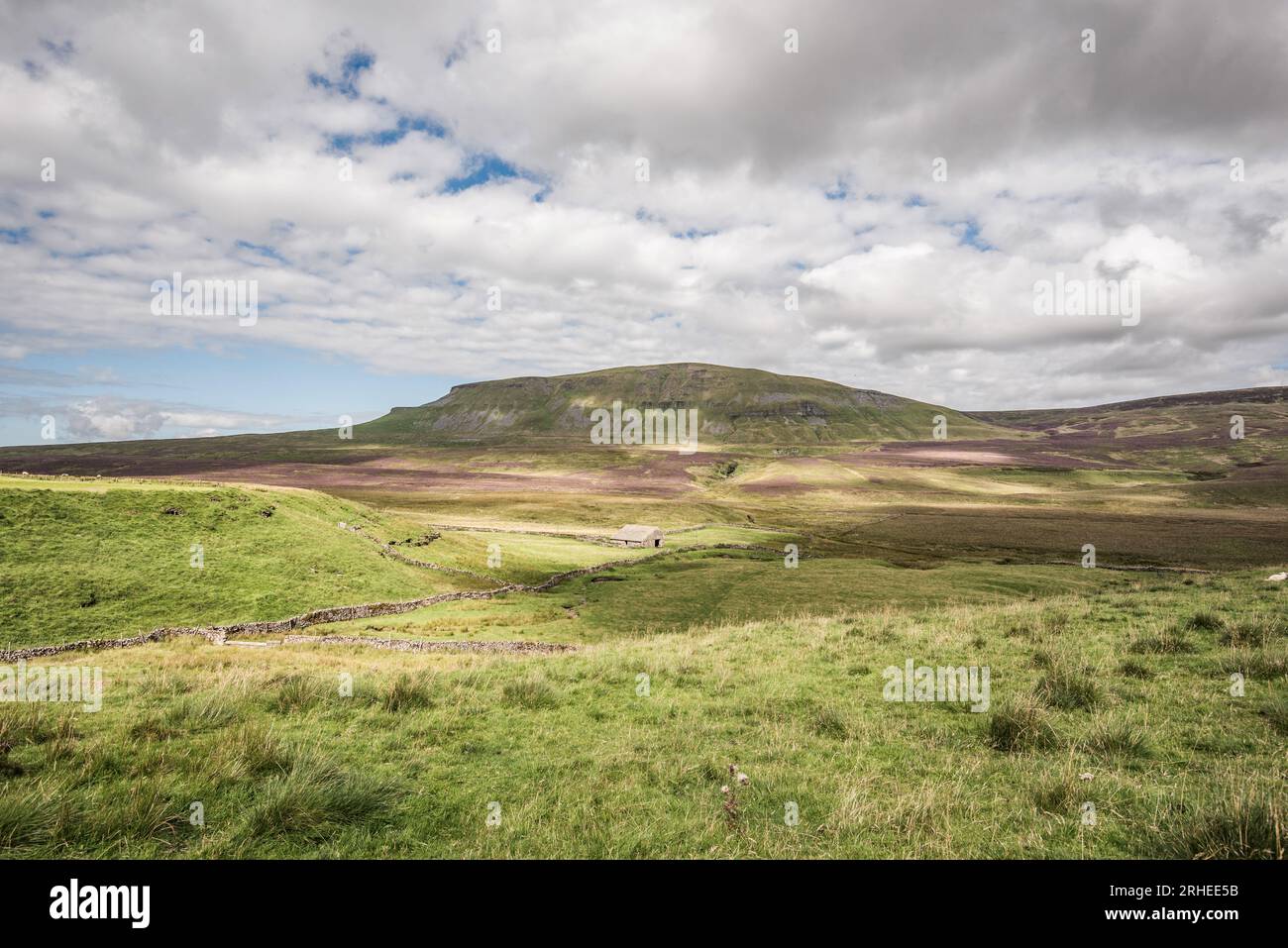 PenyGhent, one of the Yorkshire Dales 'Three Peaks', seen from the