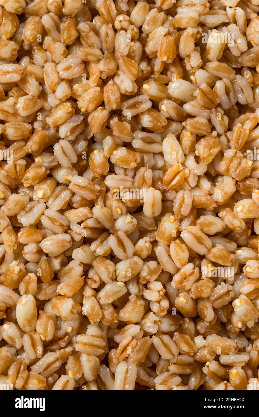 Bowl of cooked spelt grains hi-res stock photography and images - Alamy