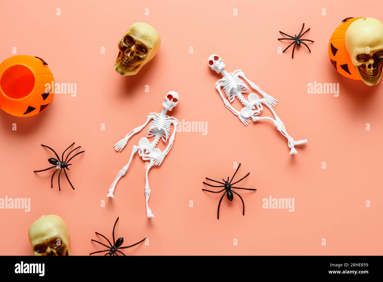 Composition with skeletons, skulls, pumpkins and spiders for Halloween celebration on coral background Stock Photo