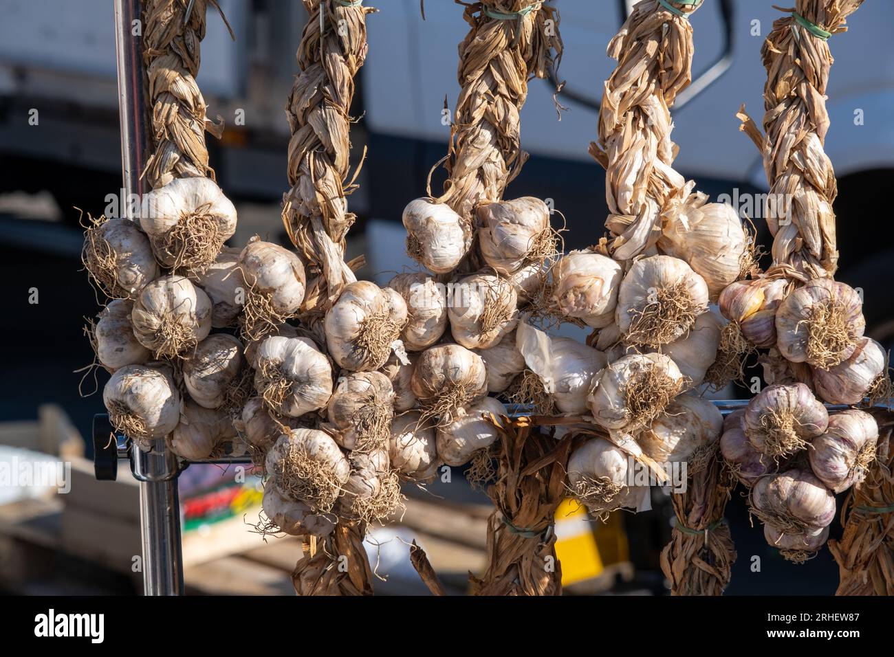 Many garlic cloves at the market in France Stock Photo Alamy