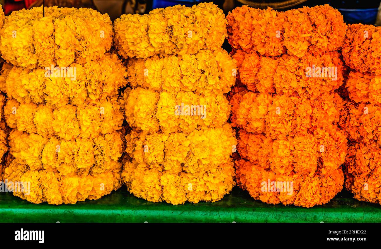Orange Yellow Marigold Wreaths Garlands Yodpiman Pak Khlong Talat Flower Market Bangkok Thailand. Marigold Wreaths in Thai is Dao Ruang which means pr Stock Photo