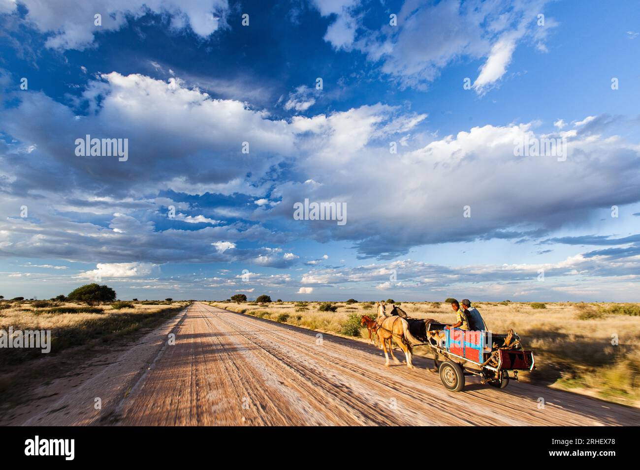 Horse-drawn carriage transport on rural gravel road with blue sky and puffy clouds in Namibia rural poor developing country Africa Stock Photo