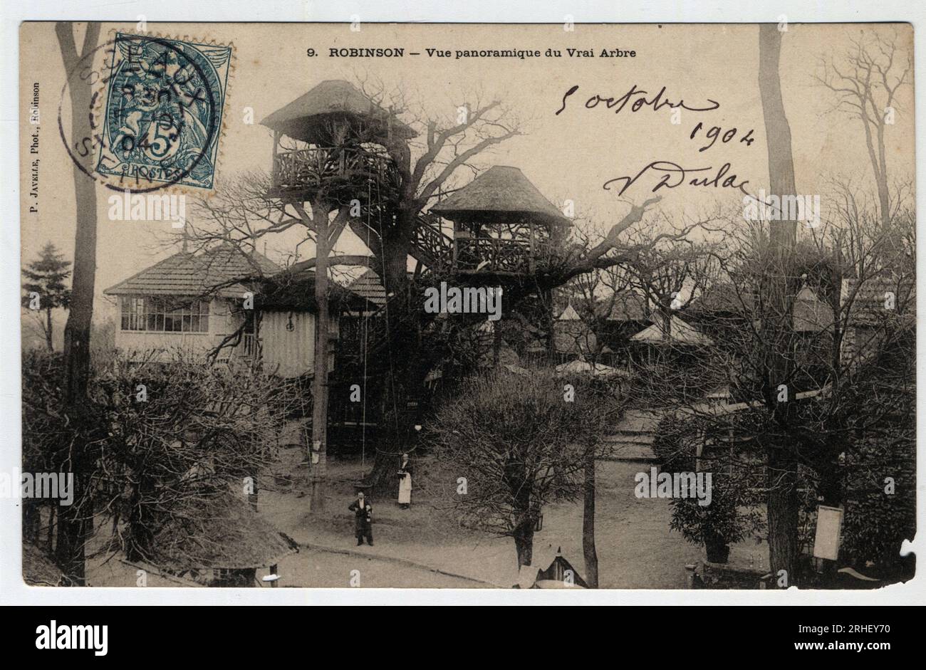 Ile de France, Hauts de Seine (92), Le Plessis Robinson (Le Plessis-Robinson) : vue panoramique du 'Vrai Arbre', une guinguette installee en haut d'un chataignier - Carte postale datee 1904 Stock Photo