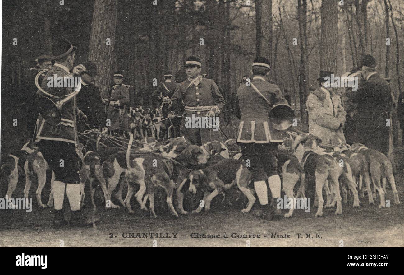 Chasse a courre : la meute de chiens et les chasseurs dans la foret de Chantilly - Carte postale fin 19eme-debut 20eme siecle (France : - late 19th-early 20th century - Postcard) Stock Photo