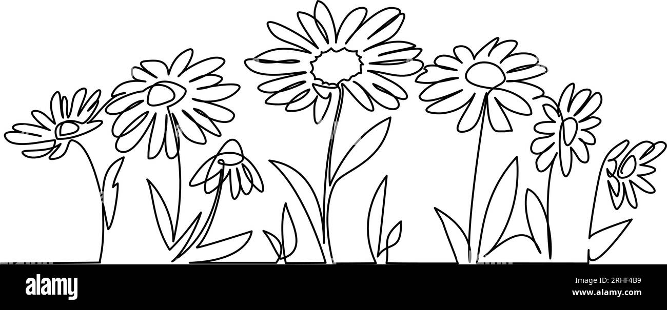 Daisy flowers field. Continuous one line art drawing style. Chamomiles