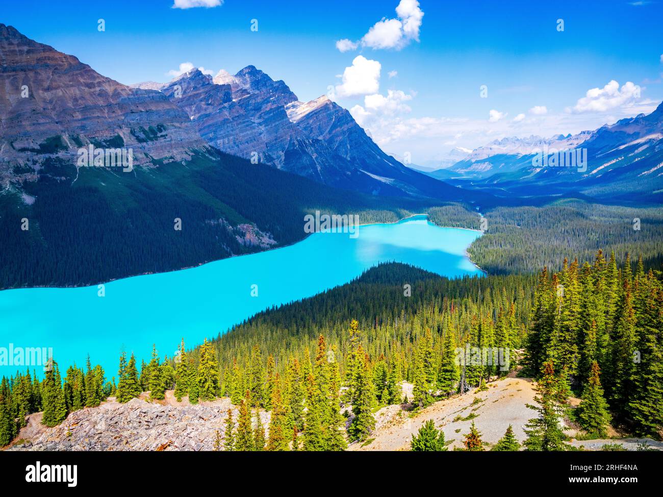 Peyto Lake Banff National Park, Canadian Rockies, Alberta, Canada ...