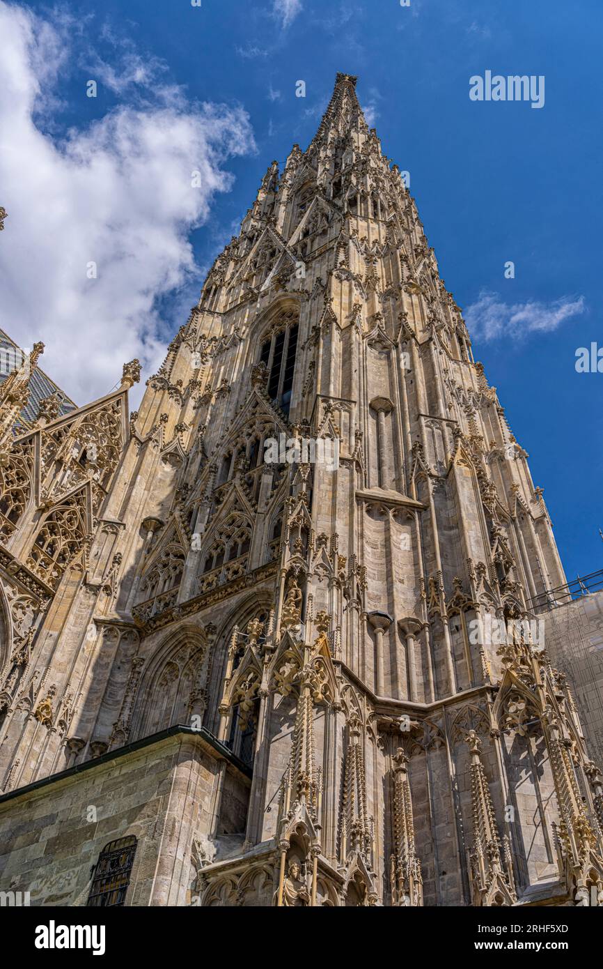 Kathedrale stephansdom st stephens kathedrale hi-res stock photography ...
