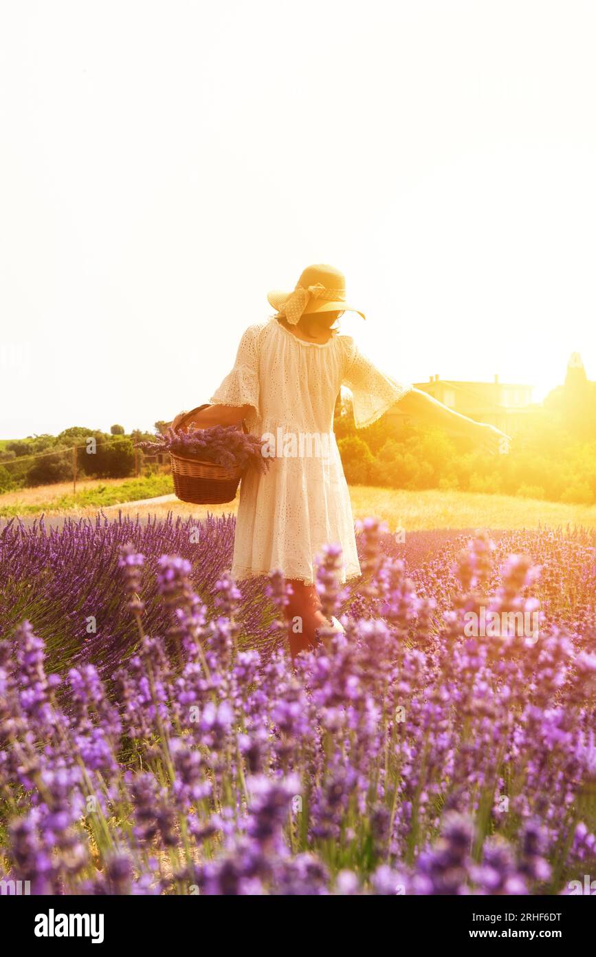 Girl in white dress and straw hat with basket walking in lavender field Stock Photo