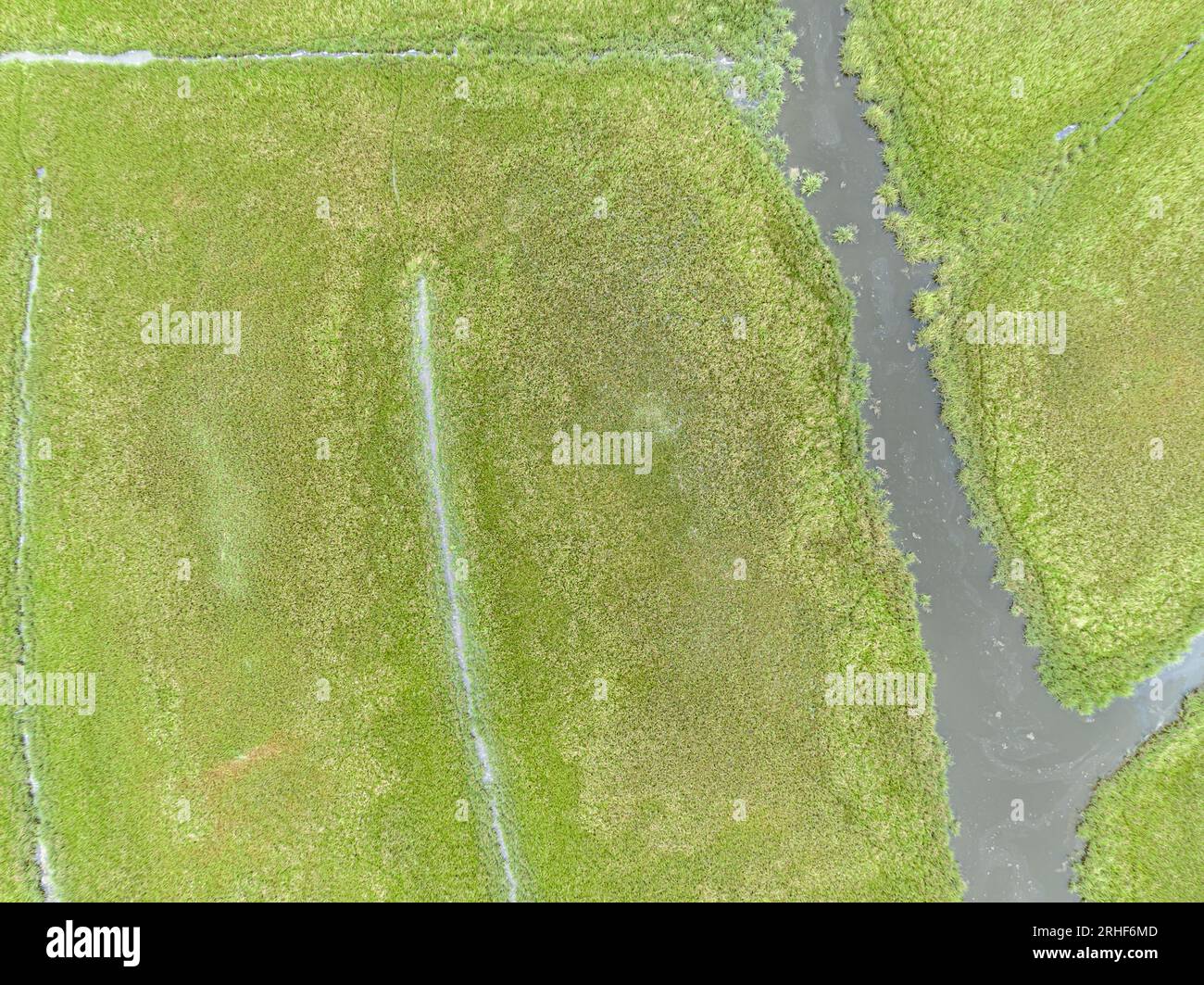 aerial view of wet lands in sag harbor, ny Stock Photo