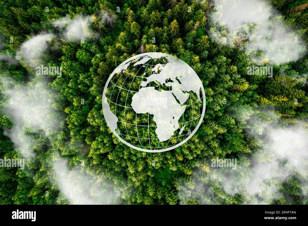 Recycle and Zero waste symbol in the middle of a beautiful untouched jungle for Sustainable environment development goals. Stock Photo
