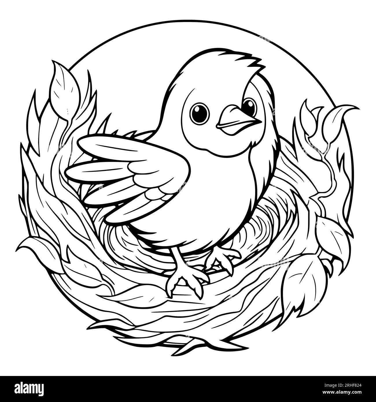 Opila bird coloring page hi-res stock photography and images - Alamy