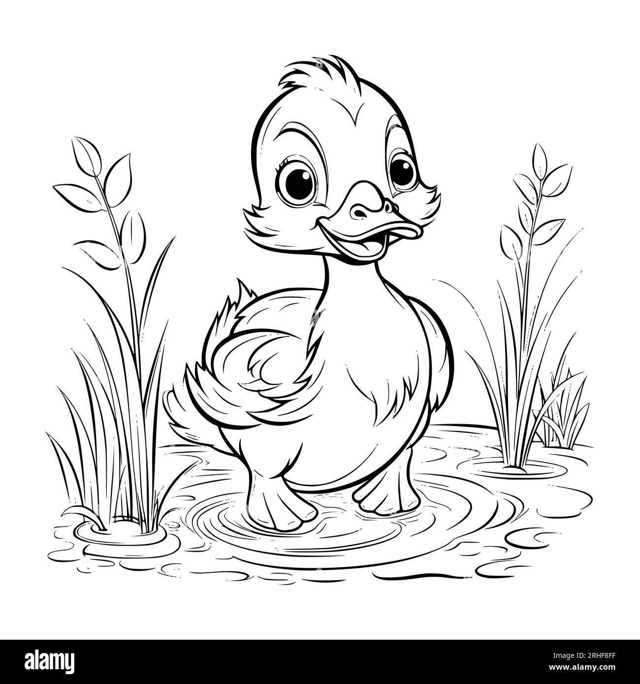Baby Duck Coloring Pages Drawing For Kids Stock Vector