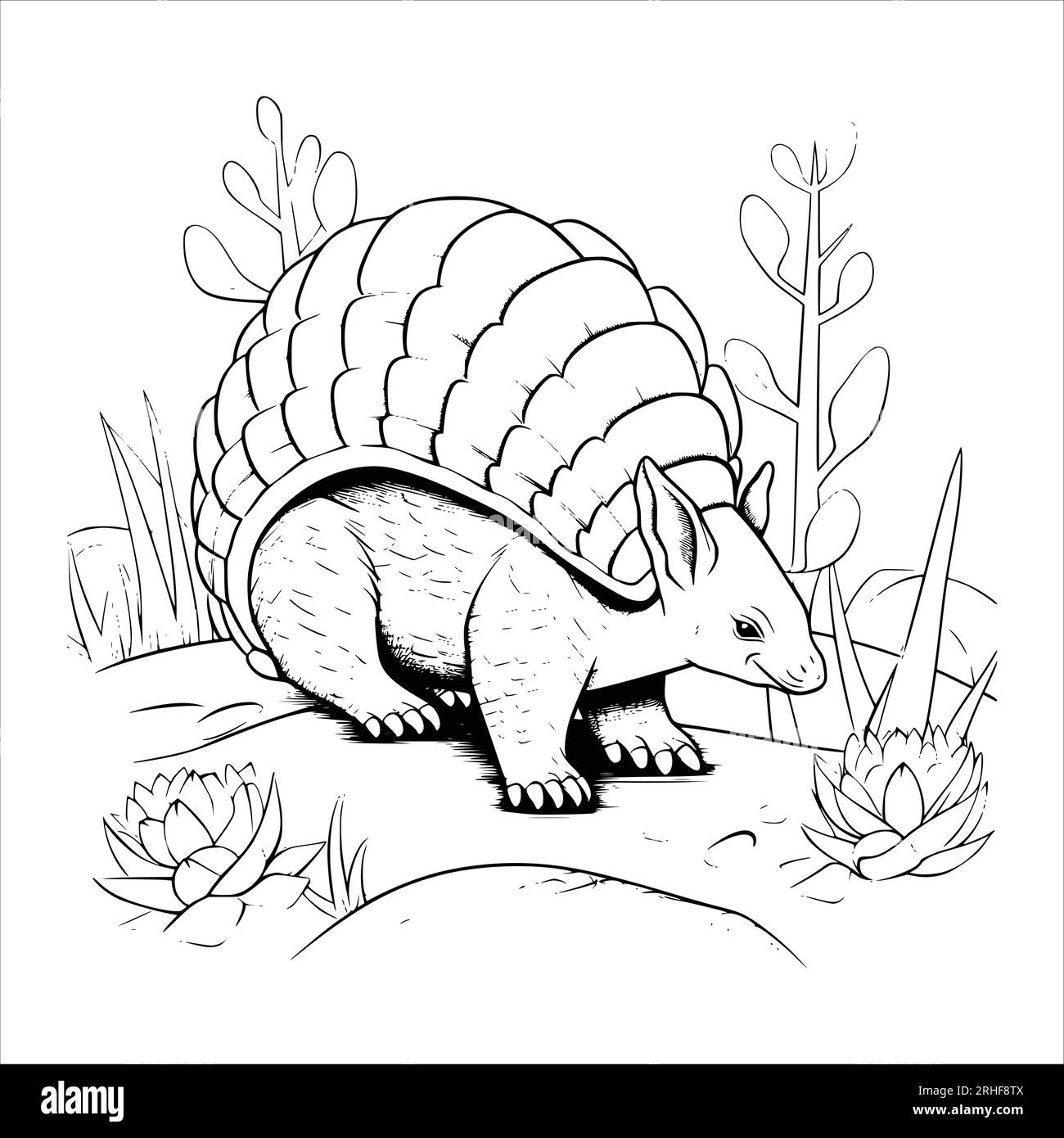 Armadillo Coloring Page For Kids Stock Vector