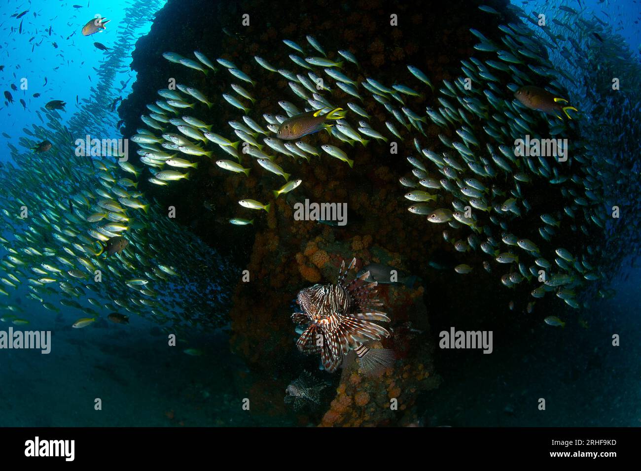 Mare e Oceano Stock Photo - Alamy