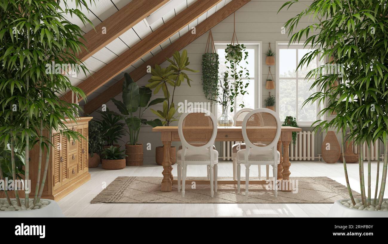 Zen interior with potted bamboo plant, natural interior design concept ...