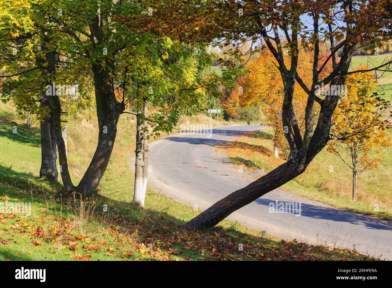countryside landscape in autumn. trees in colorful foliage on the hill by the asphalt road. warm sunny weather Stock Photo