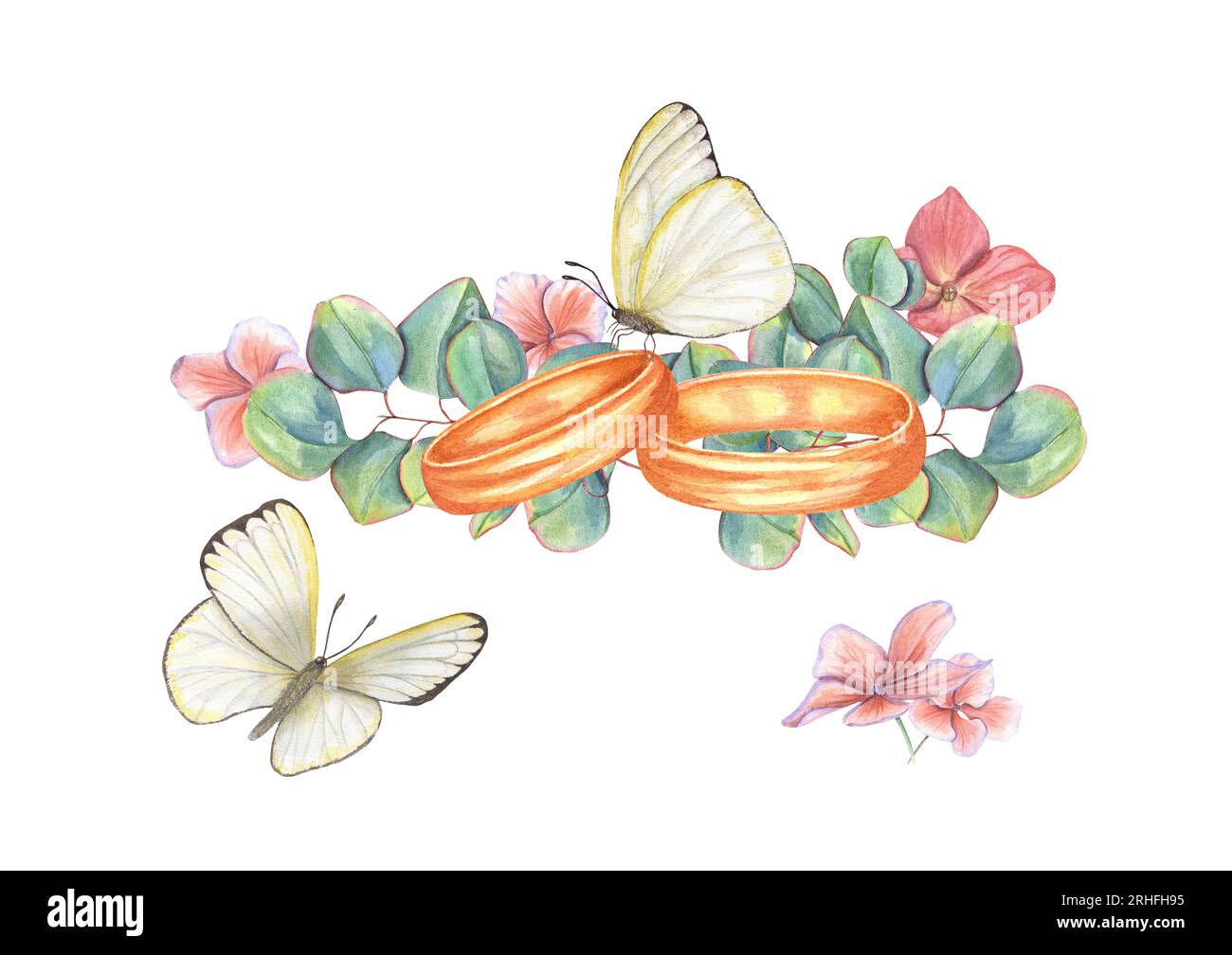 Composition with Wedding Rings, Eucalyptus Branches, Hydrangea Flowers and Fluttering Butterflies. Watercolor illustration isolated on white Stock Photo