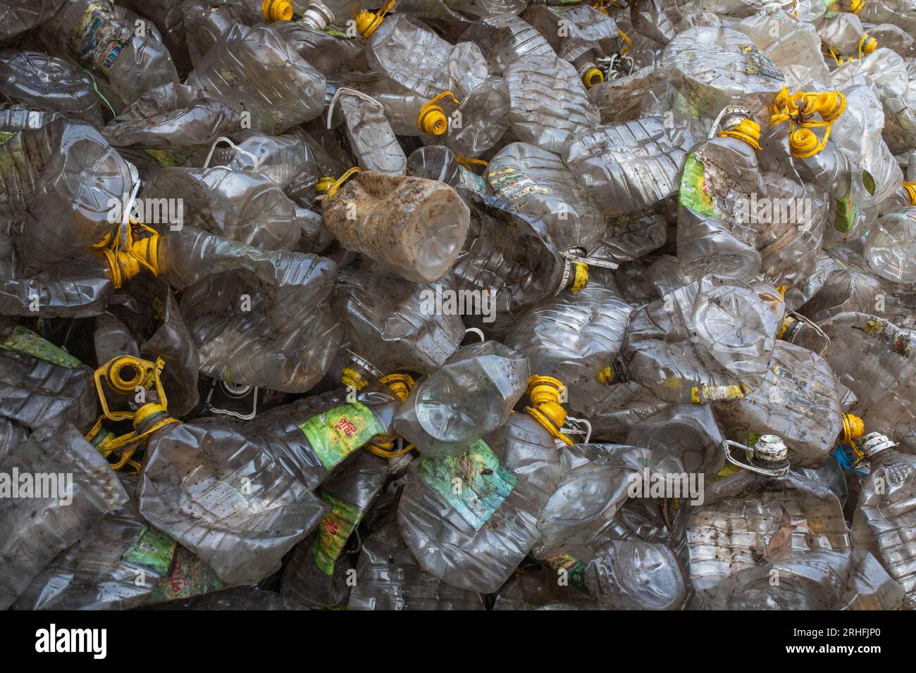 Different types of plastic bottles gathered for recycling in Dhaka