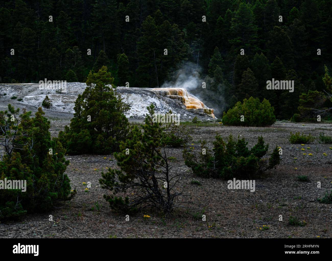 Cleopatra Terrace after sunset.  Mammoth Hot Springs.  Yellowstone National Park.  Near North entrance. Stock Photo