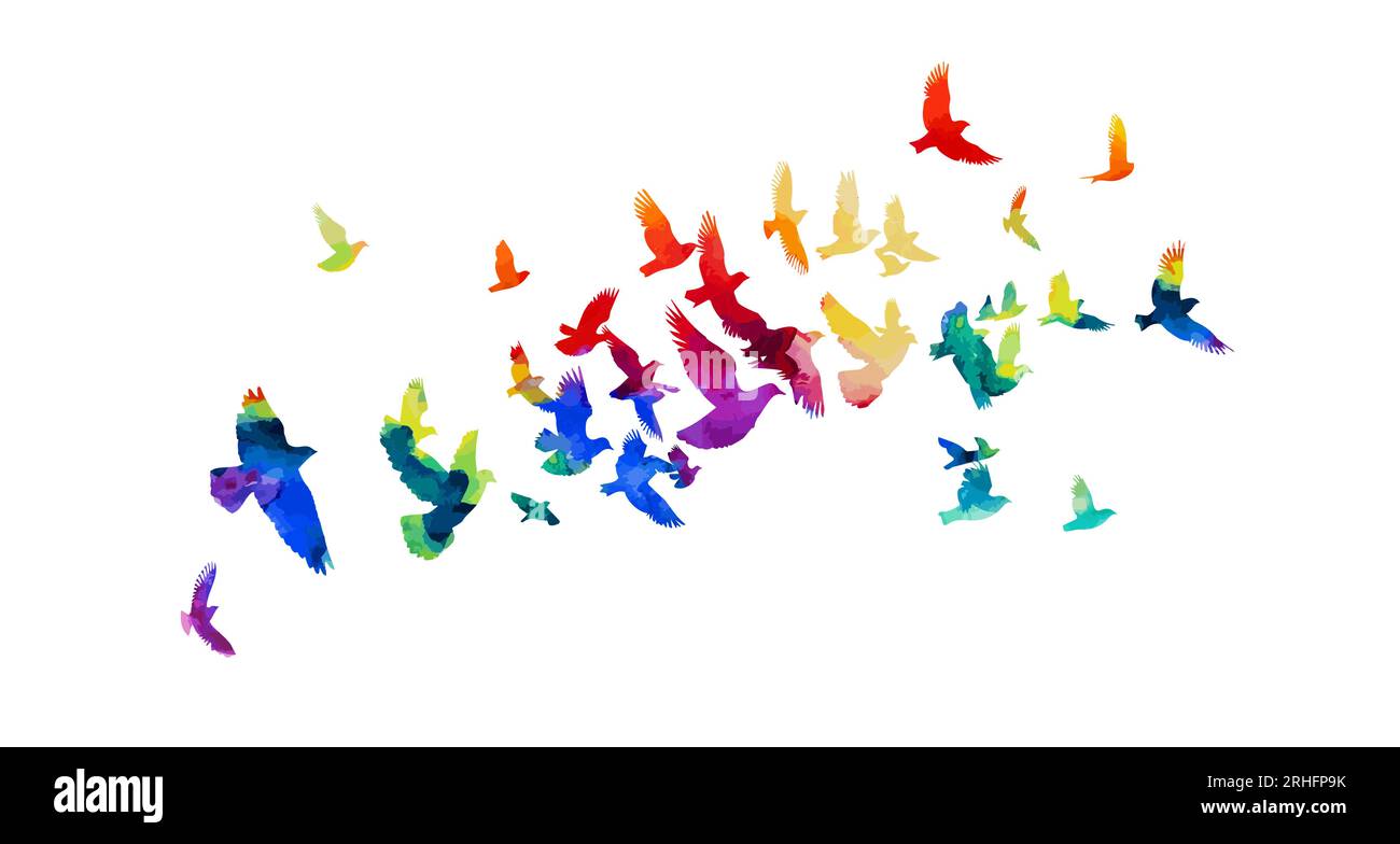 A flock of colored birds. Vector illustration Stock Vector Image & Art ...