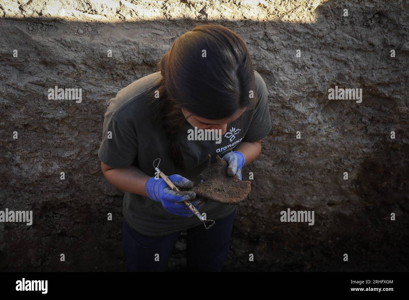Madrid, Spain. 16th Aug, 2023. A forensic expert from the Aranzadi Science Society analyzes a bone from a skeleton during exhumation.The exhumation work continues on the bones of those retaliated against by the Franco dictatorship in the cemetery of the town of Colmenar Viejo in Madrid. (Photo by David Canales/SOPA Images/Sipa USA) Credit: Sipa USA/Alamy Live News Stock Photo