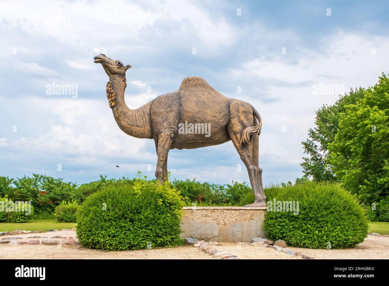 Sara the Camel is a roadside attraction located in Glenboro Manitoba.  She is emblematic of the Spirit Sands, also known as the Manitoba Desert, locat Stock Photo