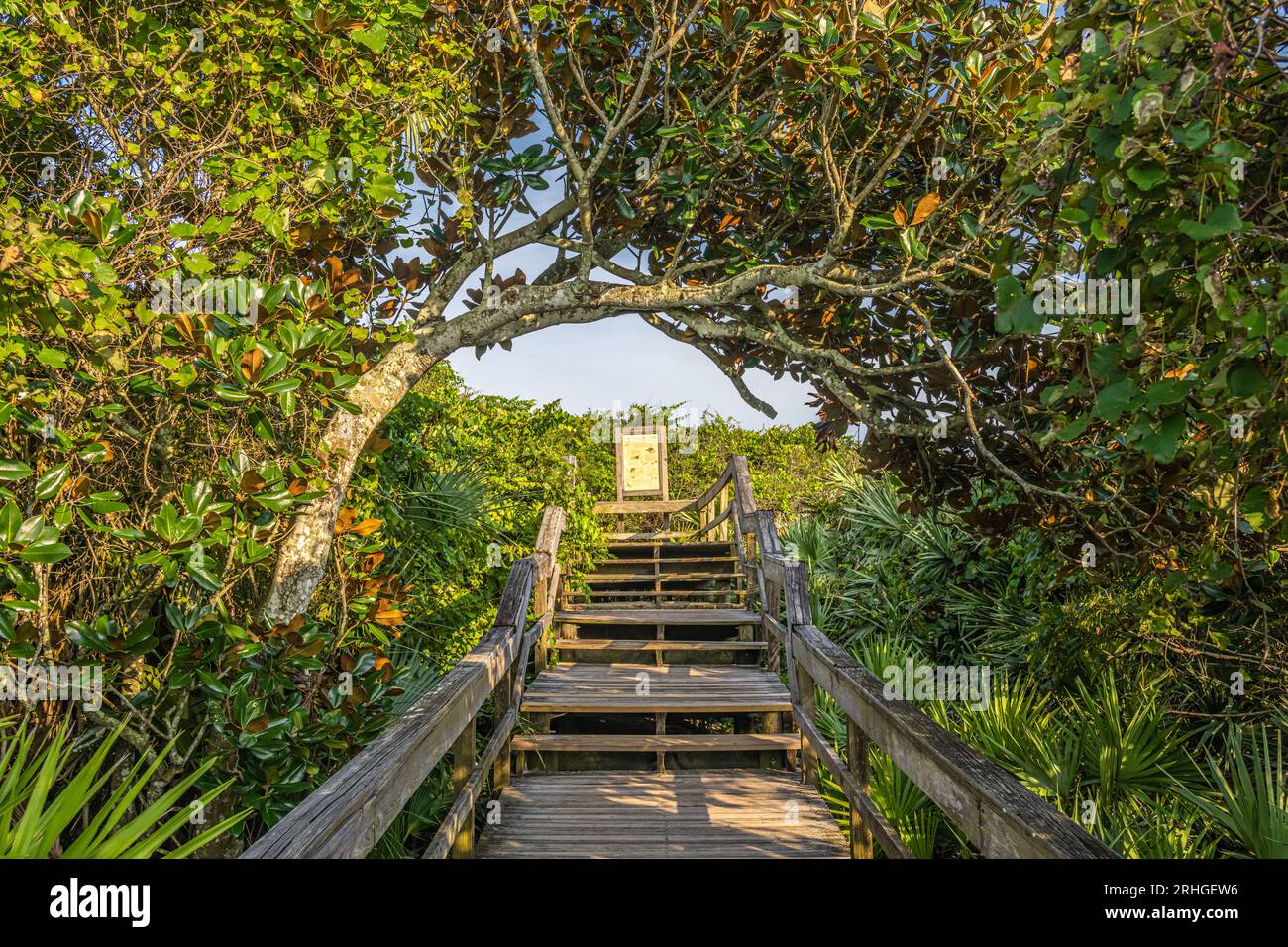 Boardwalk beach access at North Beach Guana River Preserve on Florida A1A in Ponte Vedra Beach, Florida. (USA) Stock Photo