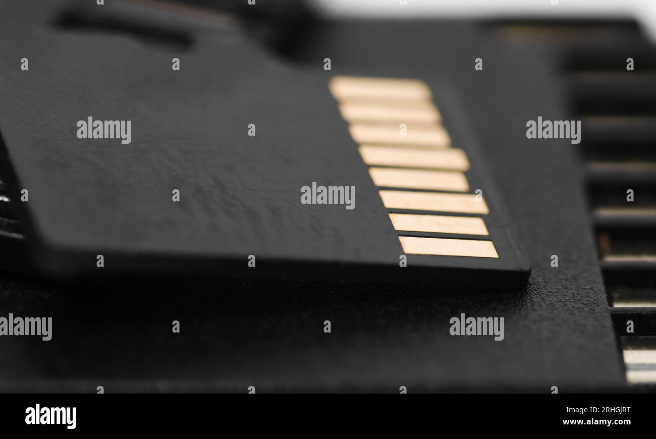 Back side of black SD memory card. Computer equipment. Memory card