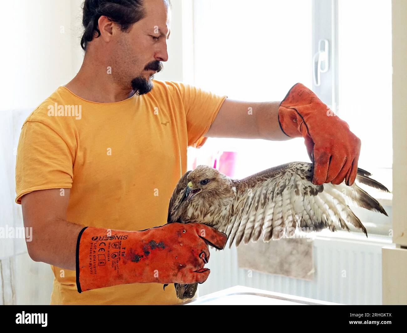 Dr alaettin kaya hires stock photography and images Alamy