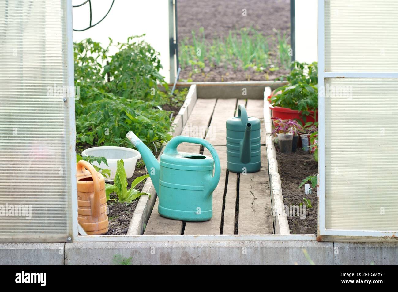 Greenhouse Growing Tools
