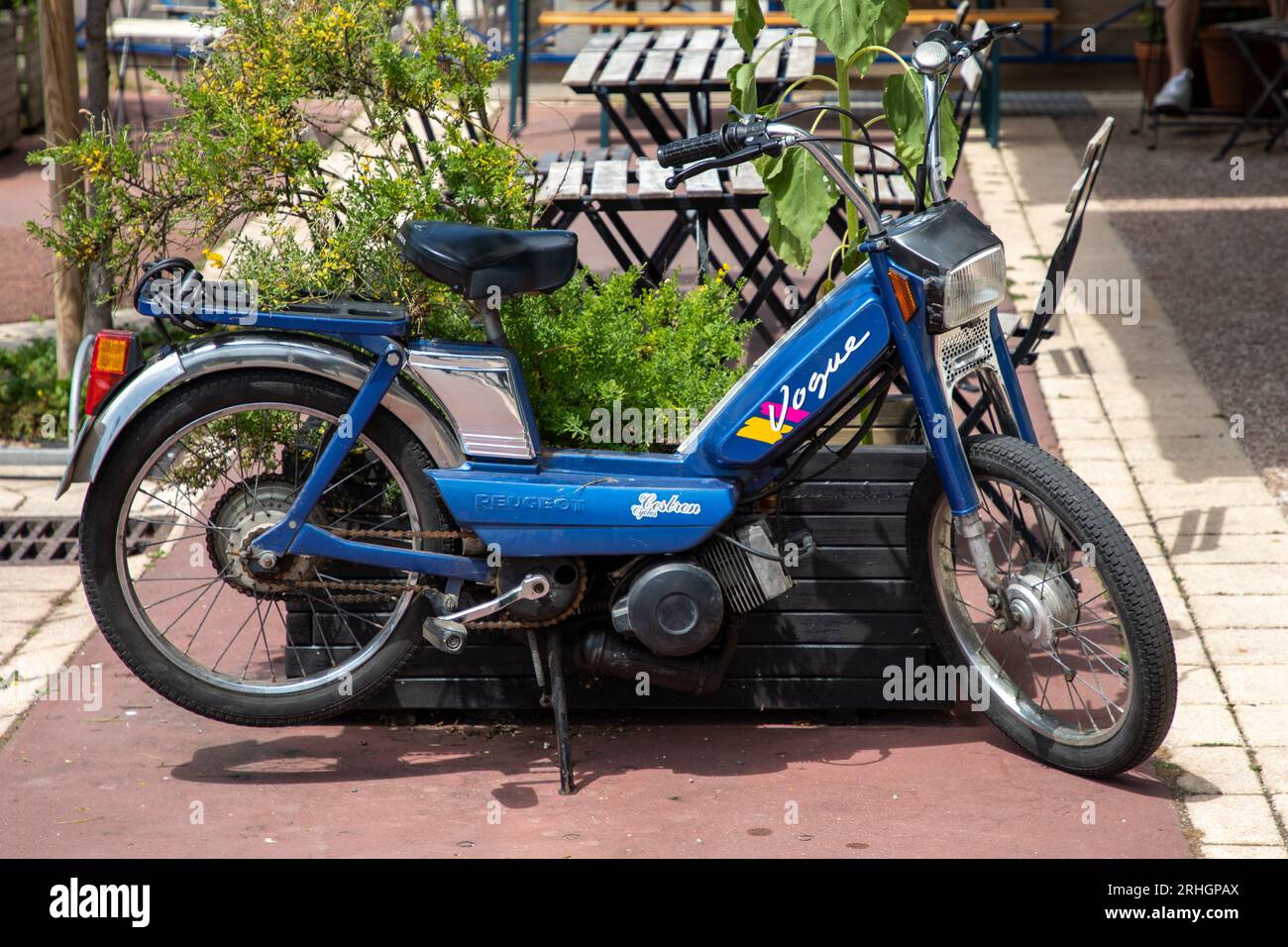 Peugeot 103 motorcycle hi-res stock photography and images - Alamy