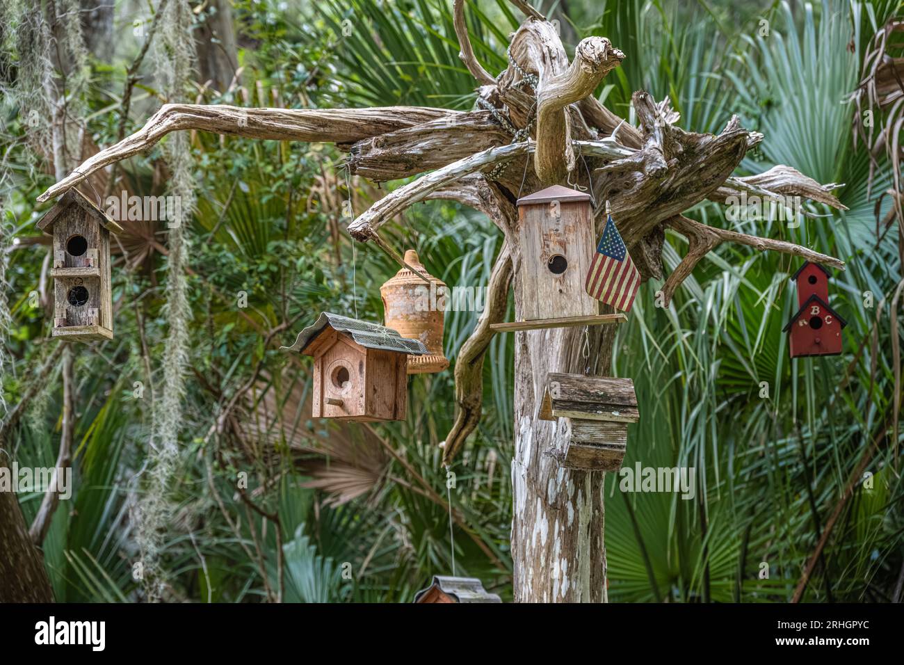 Wooden birdhouses hanging from a driftwood tree on Fort Island