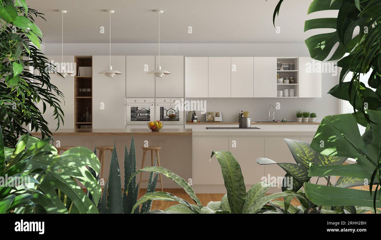 Jungle frame, biophilic idea. Tropical leaves over minimalist white ...