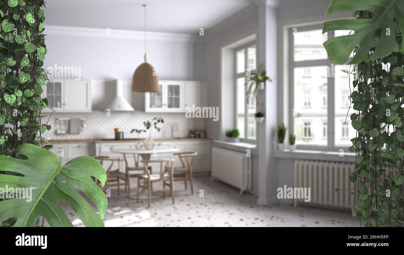 Jungle frame, biophilic concept idea interior design. Tropical leaves over scandinavian kitchen and dining room. Cerpegia woodii and monstera delicios Stock Photo