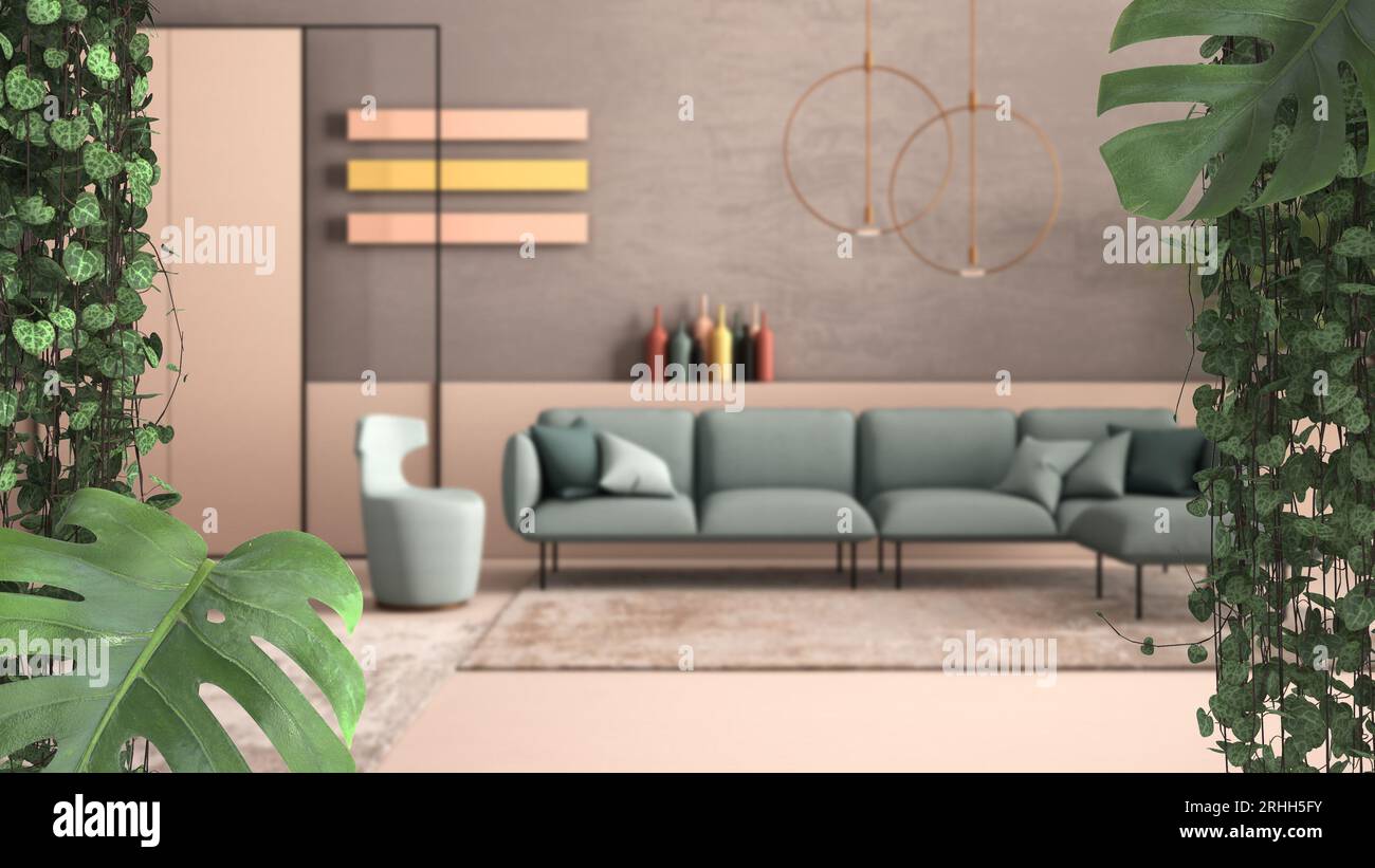 Jungle frame, biophilic concept idea interior design. Tropical leaves over modern living room. Cerpegia woodii and monstera deliciosa plants Stock Photo