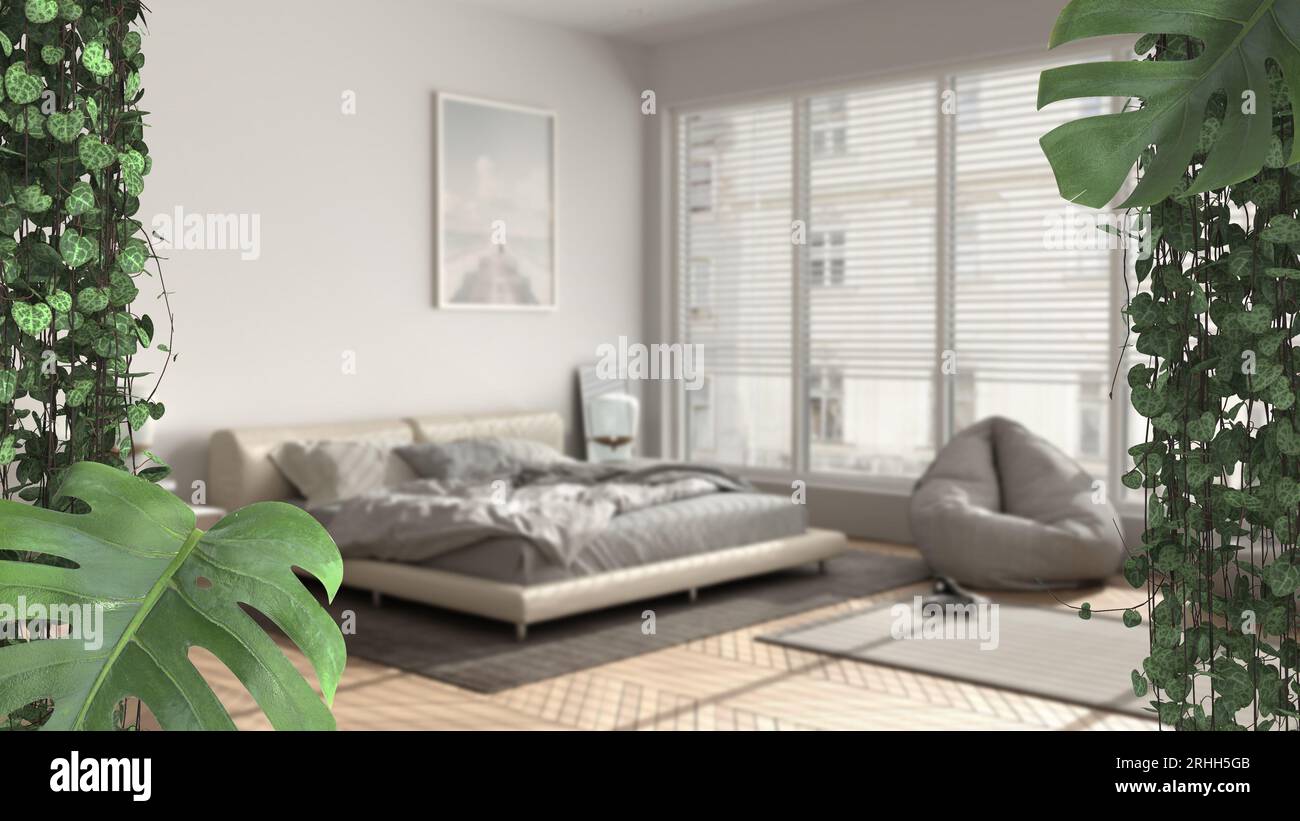 Jungle frame, biophilic concept idea interior design. Tropical leaves over modern bedroom with double bed. Cerpegia woodii and monstera deliciosa plan Stock Photo