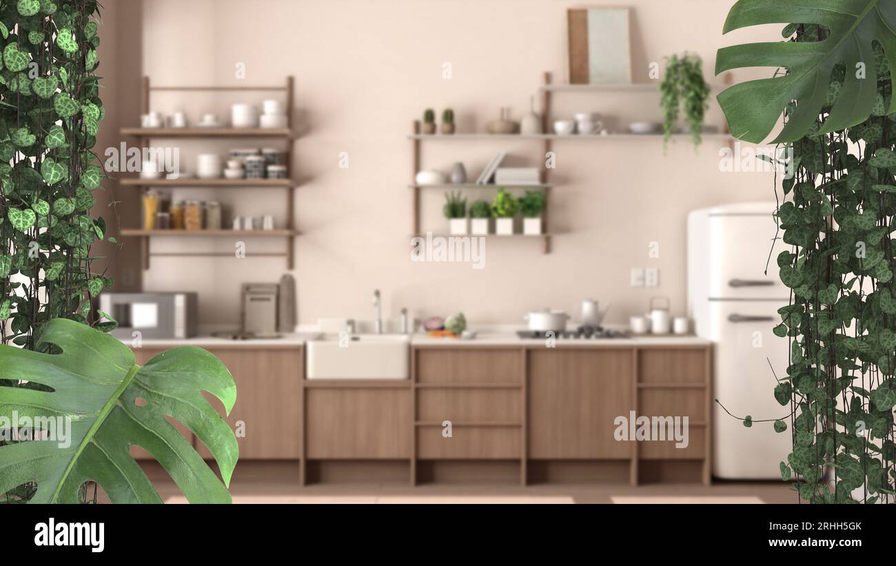 Jungle frame, biophilic concept idea interior design. Tropical leaves over modern scandinavian kitchen. Cerpegia woodii and monstera deliciosa plants Stock Photo