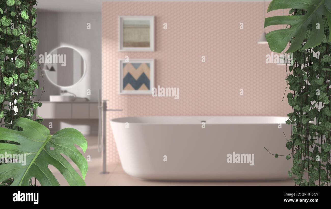 Jungle frame, biophilic concept idea interior design. Tropical leaves over minimal bathroom with bathtub. Cerpegia woodii and monstera deliciosa plant Stock Photo