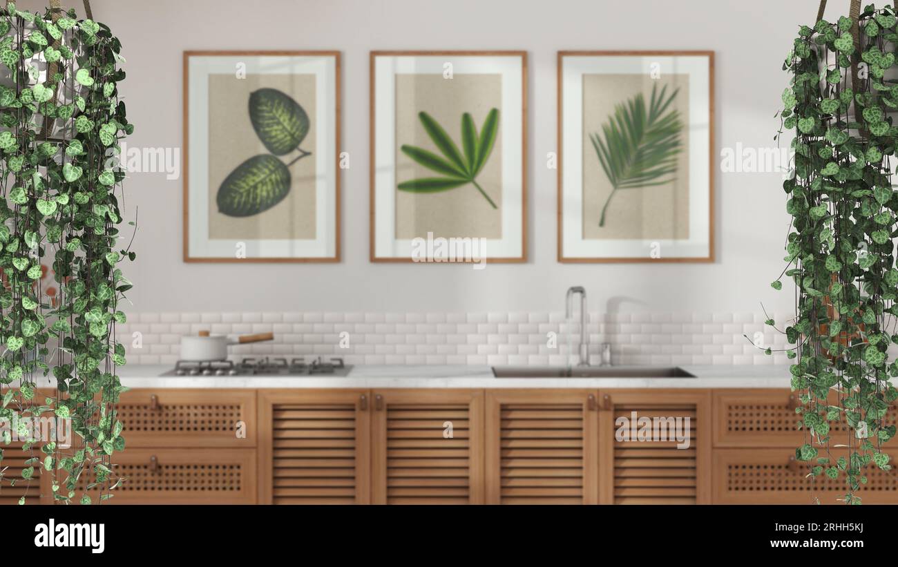 Jungle frame, biophilic concept idea interior design. Tropical leaves over minimal farmhouse kitchen. Cerpegia woodii hanging plants Stock Photo