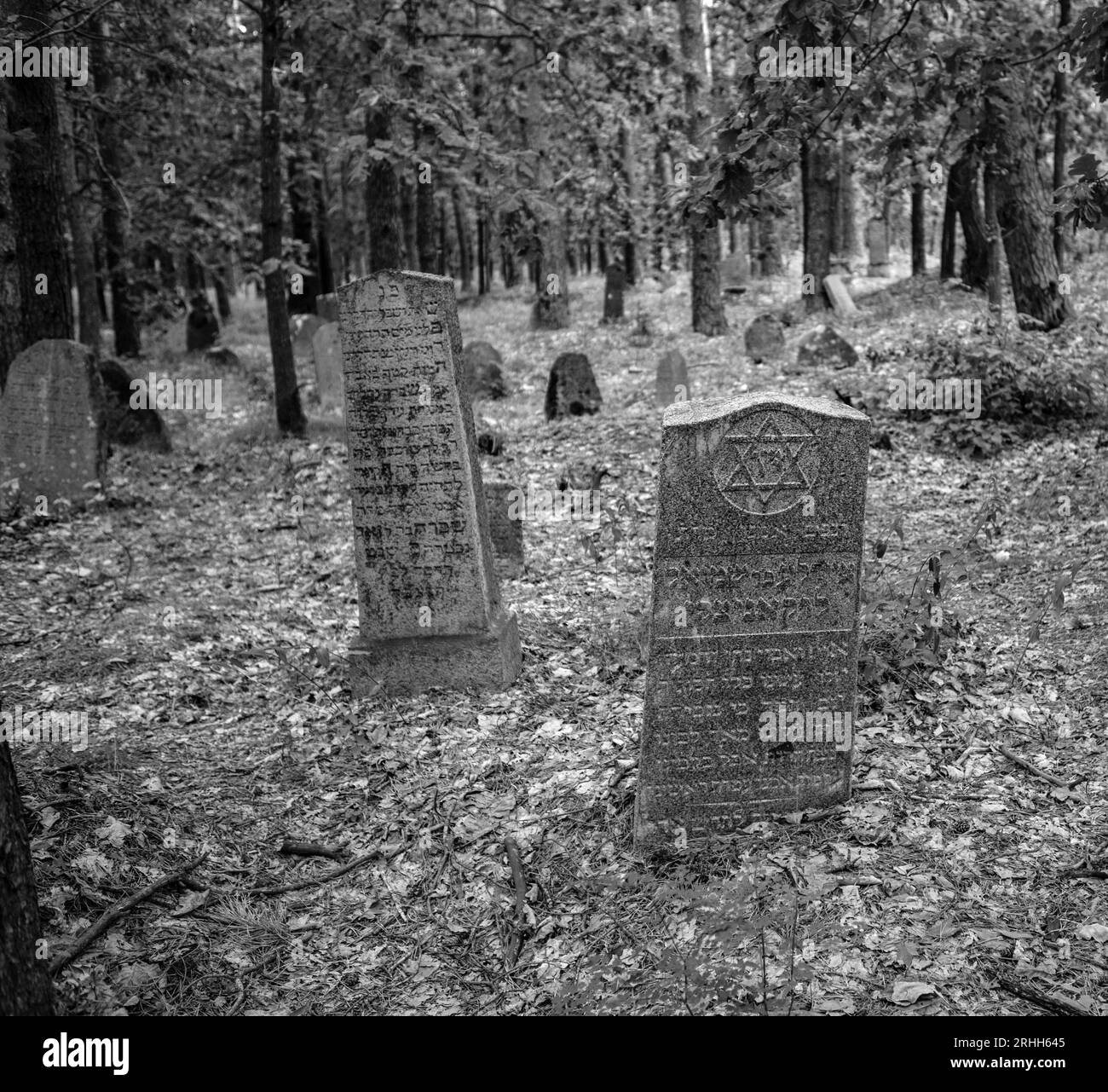 In Merkinė, einer kleinen Stadt in Litauen, gibt es einen alten jüdischen Friedhof, der tief im Wald versteckt liegt. Dieser Friedhof dient als stille Stock Photo