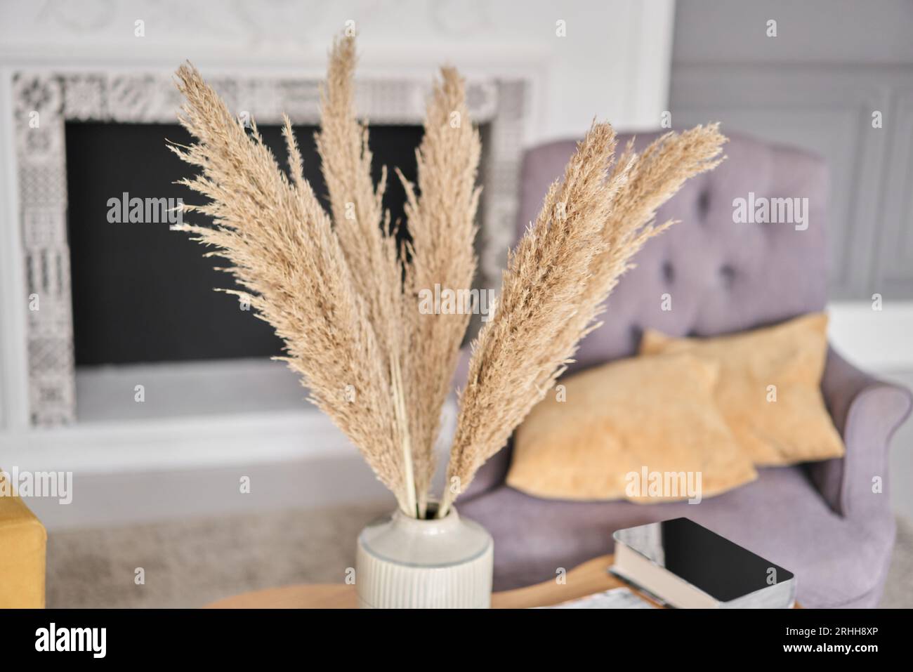 Pampas grass in vase. Stylish Scandinavian modern lighter cozy eco