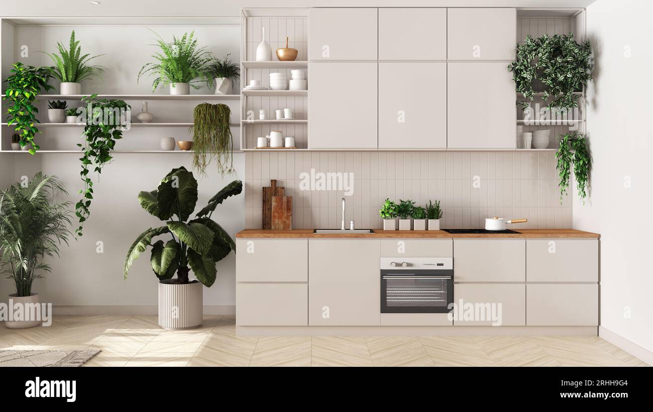 Indoor home garden concept idea. Minimal kitchen interior design in ...