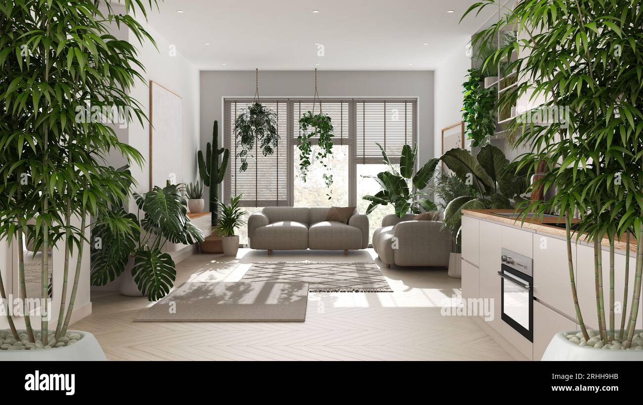 Zen interior with potted bamboo plant, natural interior design concept, living  room and kitchen with sofa, cabinets and appliances, urban jungle, inte  Stock Photo - Alamy, image size:1300x820