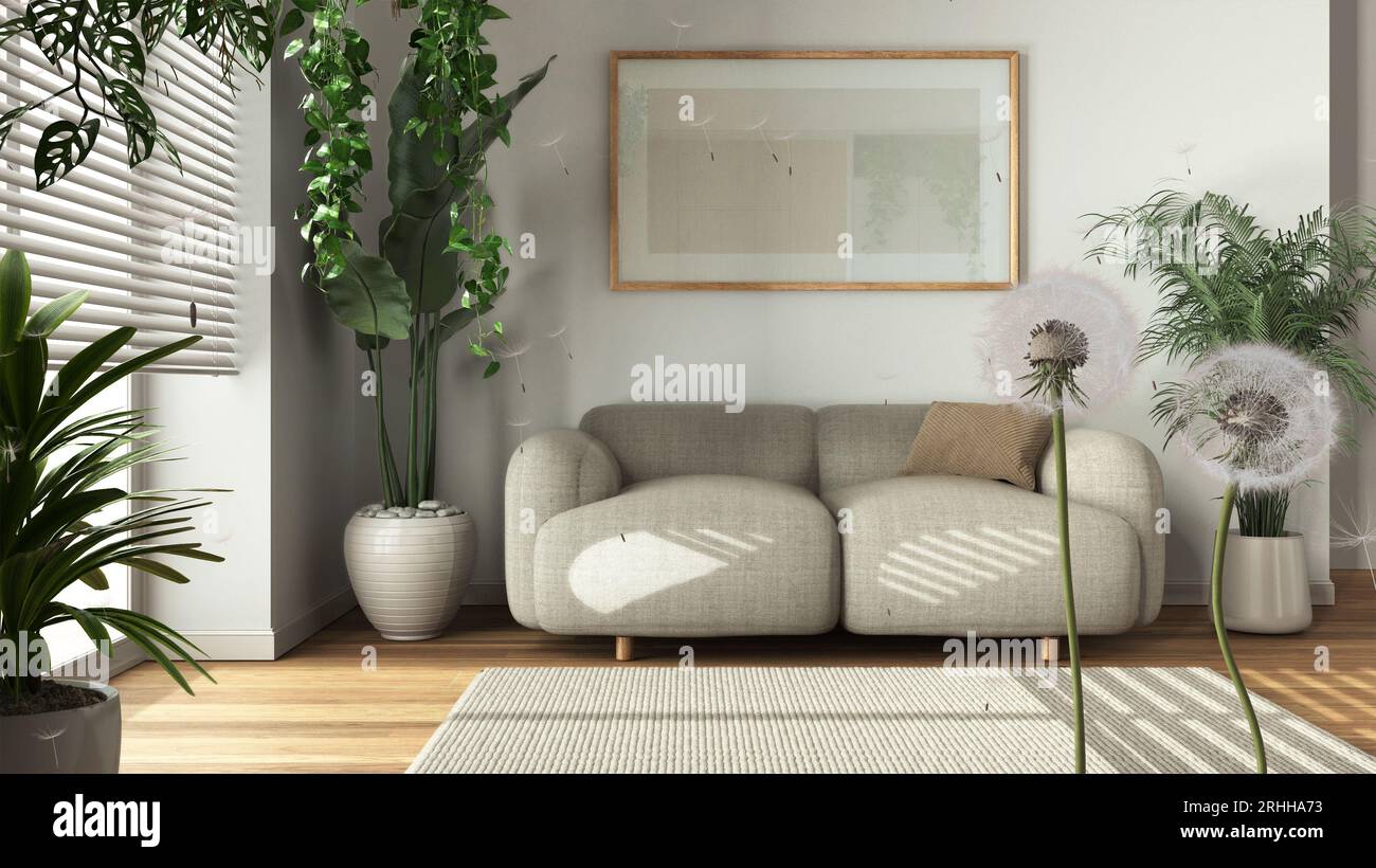 Fluffy airy dandelion with blowing seeds spores over minimal living ...