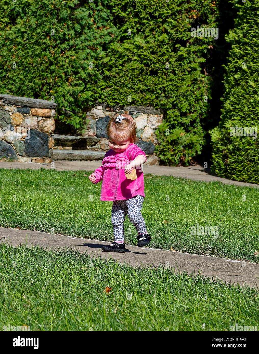 little girl dancing, outdoors, green grass, tall shrubs, holding